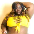 cover-bbwhw.jpg