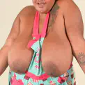 cover-bbwhw.jpg